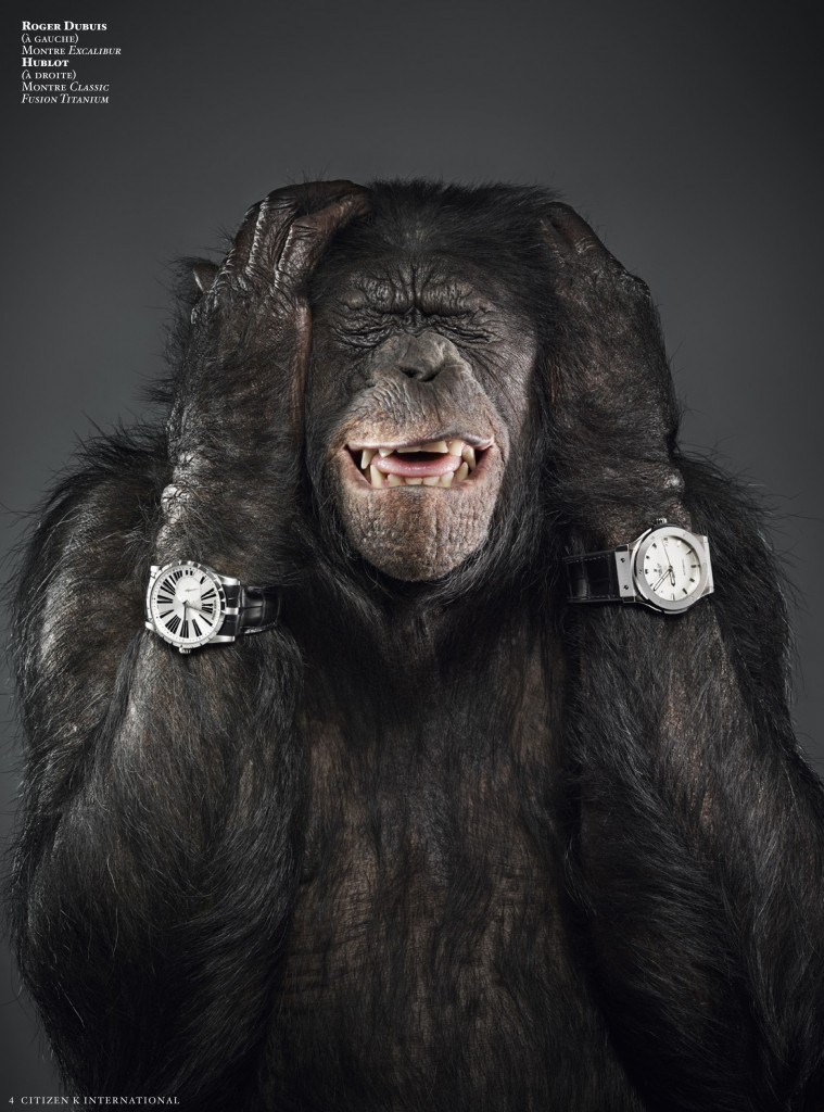 Mode_singe-3