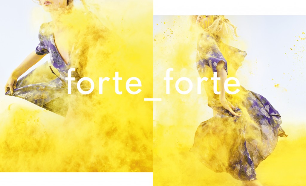 f_f_campaign copie